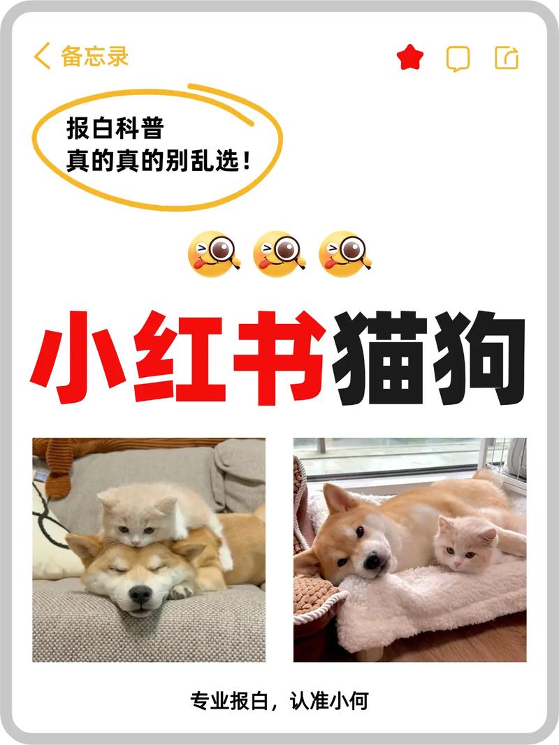 小红书宠物交易需报白审核，疫苗体检是关键！（小红书现在可以做活体宠物不）