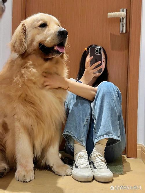 宠物险宣传遭骂，底线何在？（宠物犬p图女性）
