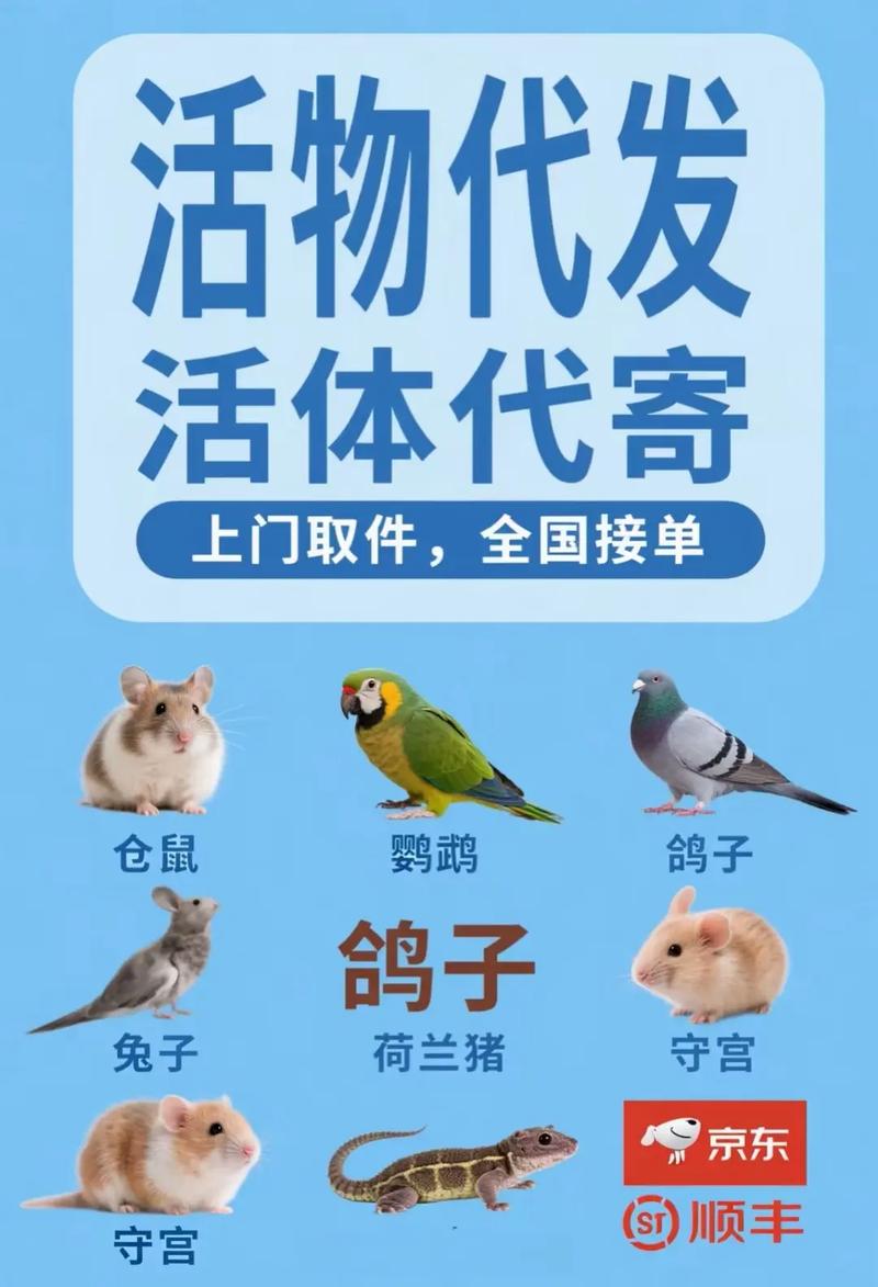 寄活体乌龟须守法选靠谱快递，细心包装呵护生命（活体乌龟怎么快递）
