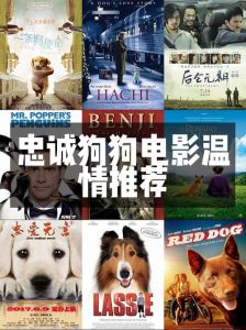 狗狗电影感人至深，看动物电影治愈心灵（关于宠物犬的电影）