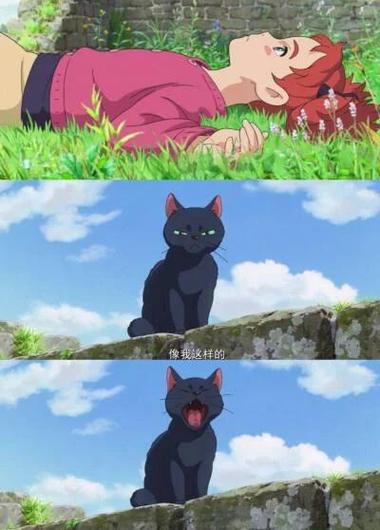 雨中救猫变女巫，狐耳消失？（成为魔女小姐的宠物）