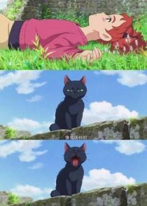 雨中救猫变女巫，狐耳消失？（成为魔女小姐的宠物）