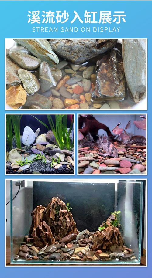 乌龟底材选对很重要，沙石草皮各不同（乌龟缸里放石子好还是沙子好）