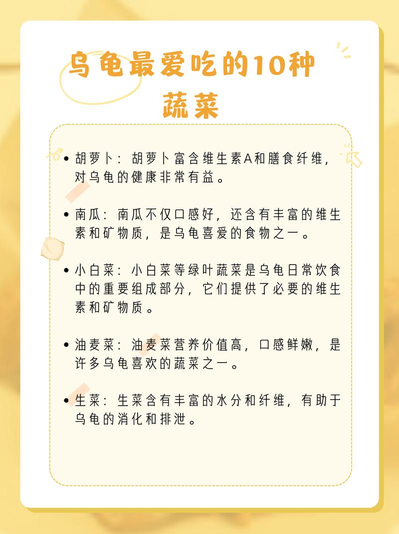 乌龟吃什么？蔬菜小鱼干水果龟粮全搞定（乌龟最爱吃的10种蔬菜）