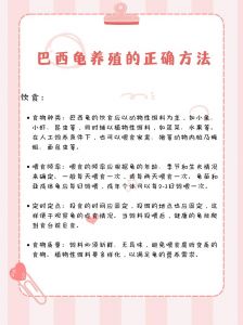 养龟需长久，选对环境食物，细心照顾（小乌龟怎么养活得久）