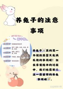 喂知识+真实测评，吸粉必备！（宠物乐园做小红书发些什么内容好）