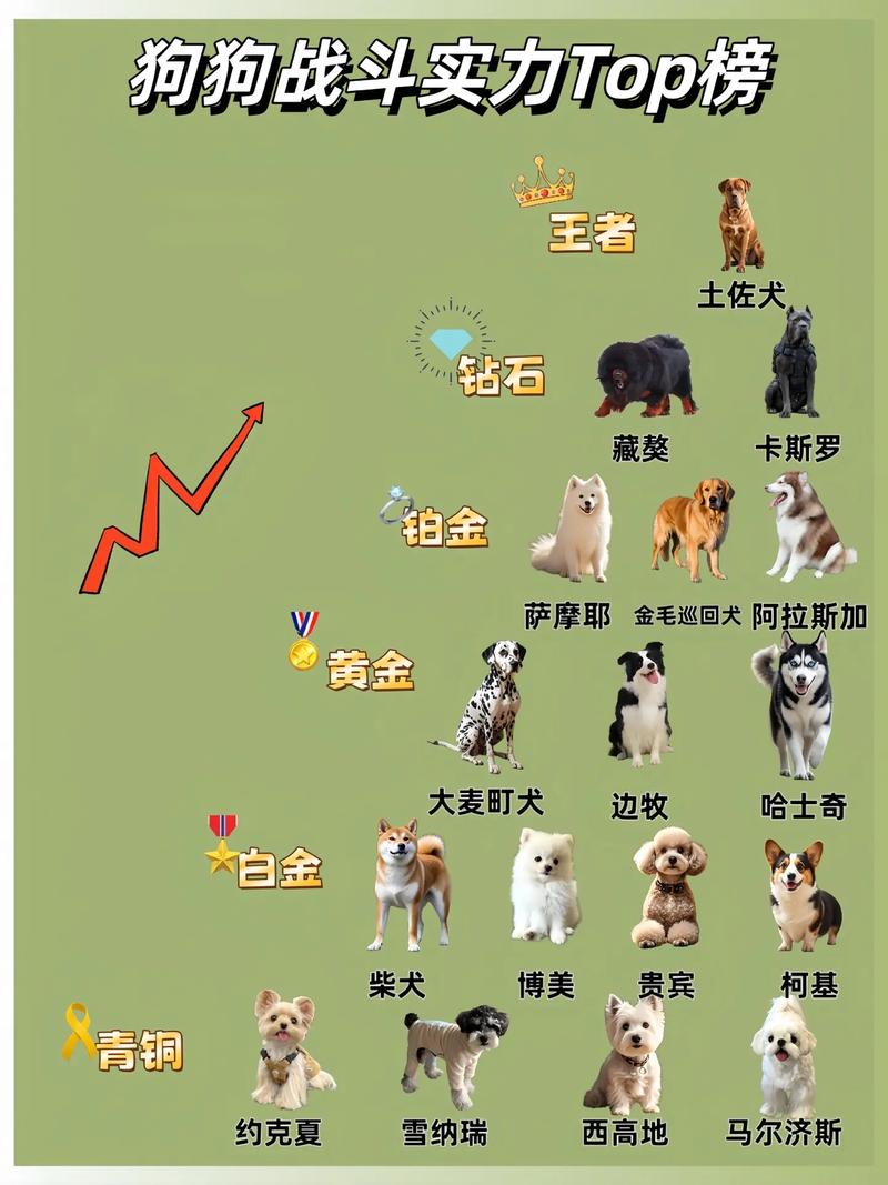 拉布拉多夺冠！温顺实用犬更受都市宠主爱（宠物狗十大排行）