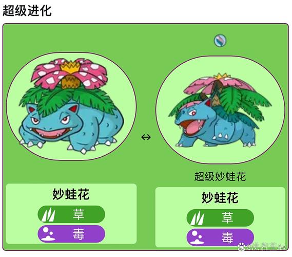 草系顶尖，晴天更猛！（妙蛙花超进化图片）