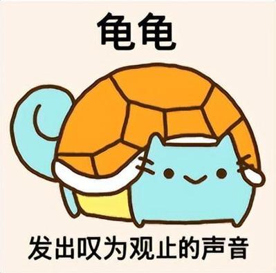 高冷绿龟的二次元梗文化（问了吗乌龟表情包）