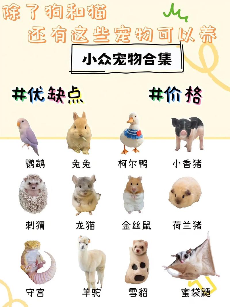 乌龟下蛋不喂奶，猫狗兔才喂奶（以下哪种动物不是哺乳动物猫乌龟兔子狗）