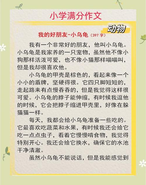 小龟背驮小龟，成长与保护（我叫小龟 我喜欢就这么）