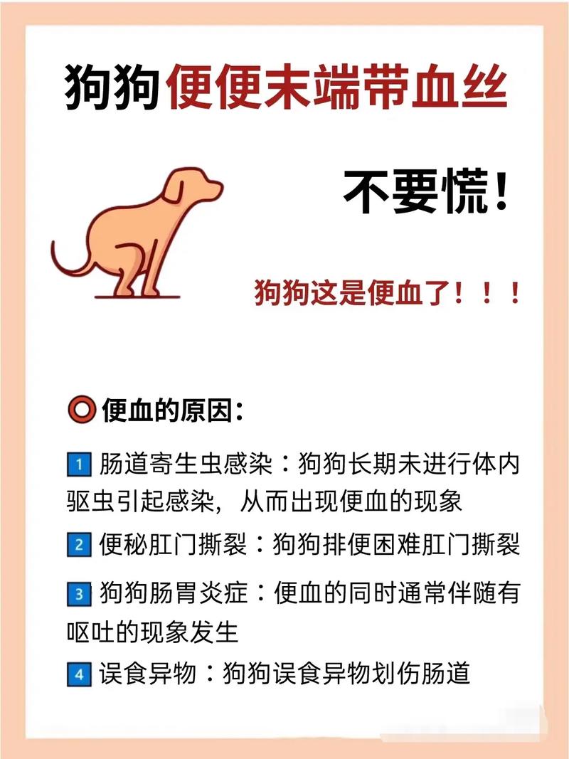 小狗便便臭？吃肉油腻或消化弱（宠物小狗拉屎巨臭是什么原因）