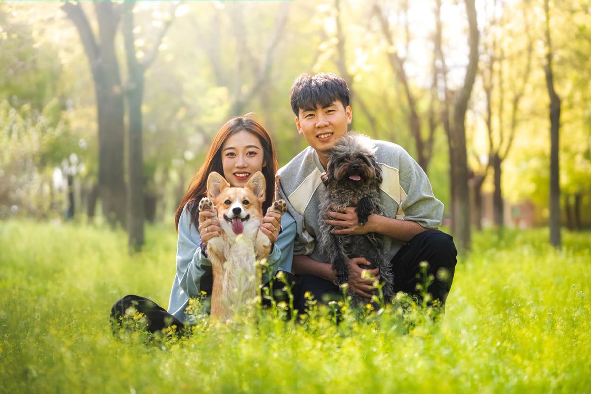 狗狗守护病童，传递爱与阳光（人跟宠物狗拍的照片）