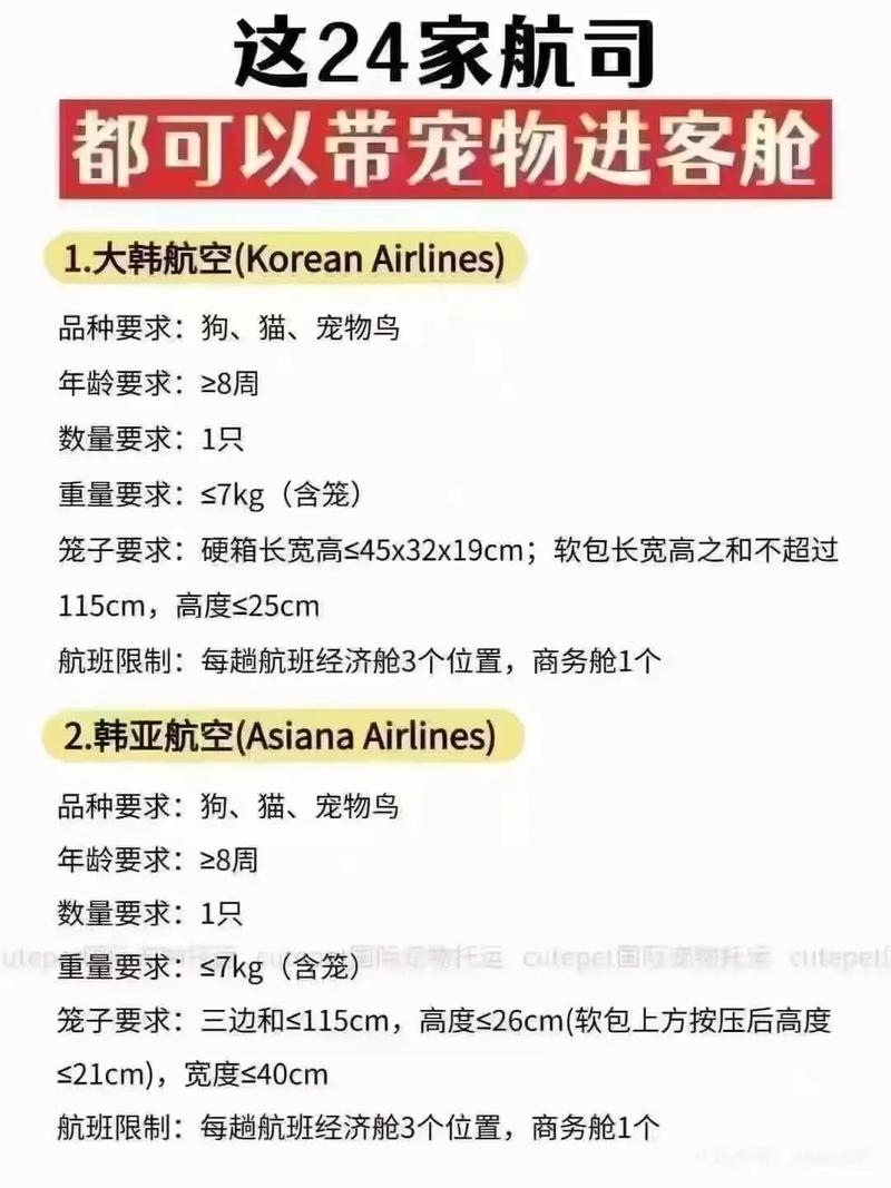 带宠物坐飞机？看航空公司规定！（宠物能带上飞机吗）