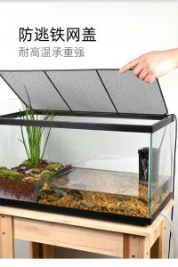 宽敞水域石，健康舒适家（玻璃缸养乌龟的缸怎么布置）