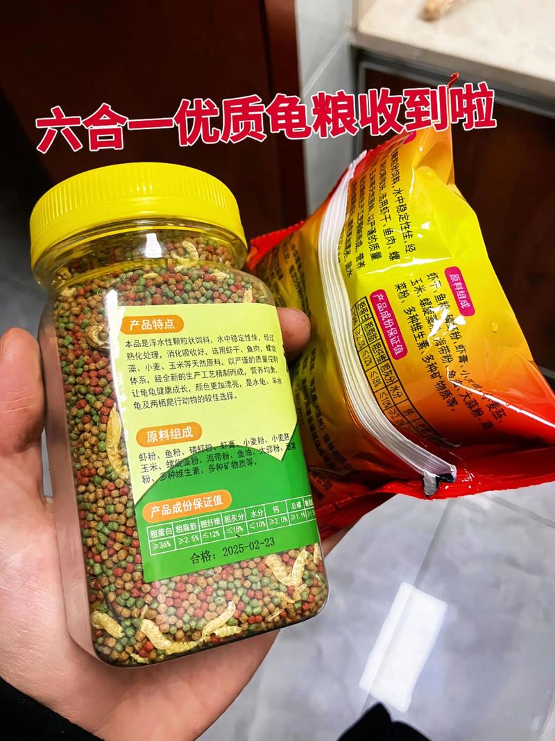 小乌龟饮食多样，龟粮为主，加虾鱼肉，注意均衡（夸克夸克 乌龟吃什么东西）