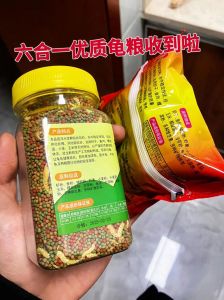 小乌龟饮食多样，龟粮为主，加虾鱼肉，注意均衡（夸克夸克 乌龟吃什么东西）