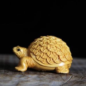 养招财龟旺财，雌雄一对风水佳（文玩招财龟都是一对吗）