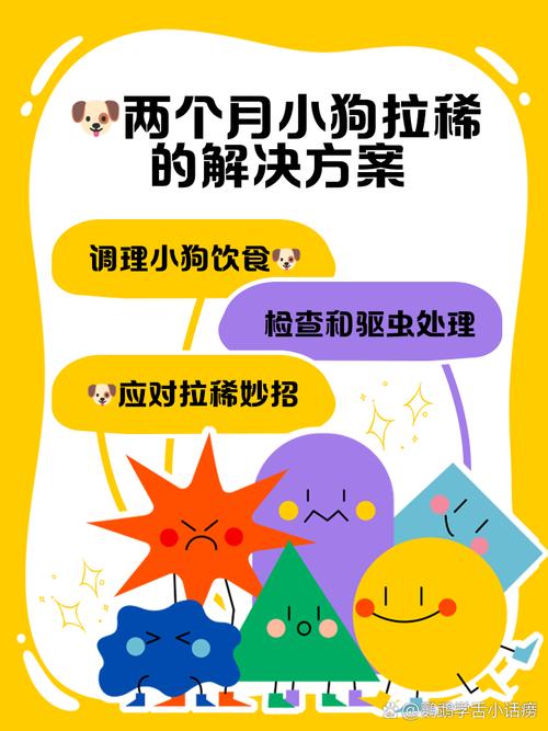 狗主责任清粪便，物业城管共维护（宠物狗在小区乱拉屎怎么办）