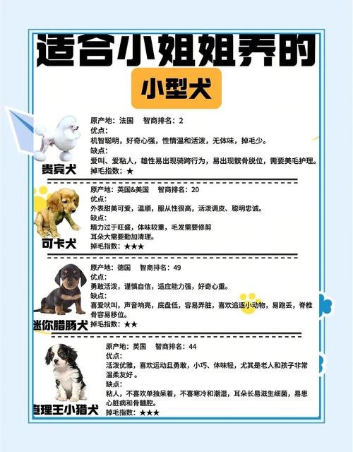 养宠物需考虑个性特点（最受十大欢迎的宠物介绍）
