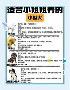 养宠物需考虑个性特点（最受十大欢迎的宠物介绍）