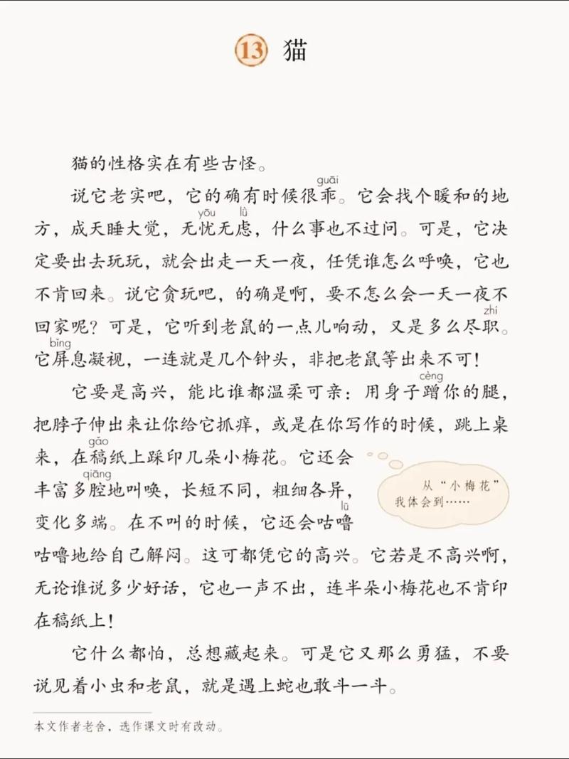 科研评价体系该变变！（宠物猫当论文作者）