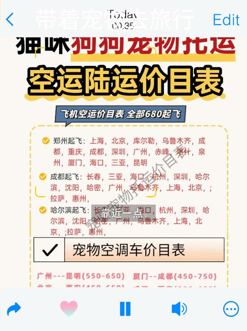 选对航空箱，了解规定！（宠物怎么带上飞机）