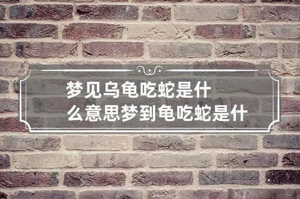 长寿稳定，缩头示警，慢行有智慧（梦到乌龟代表什么）