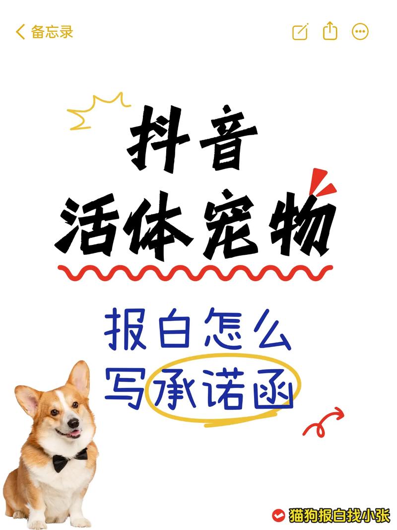 情感人性与使命（宠物by三言子衿）