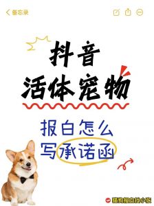 情感人性与使命（宠物by三言子衿）