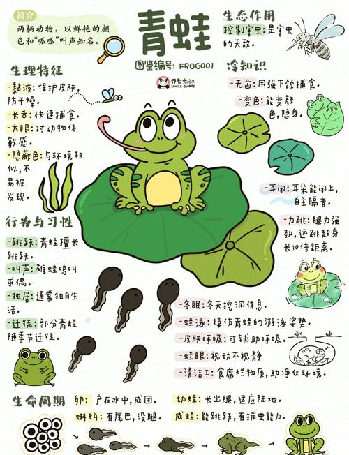 青蛙叫得快慢，藏着温度秘密（蛙类它们似乎有智商和感情）