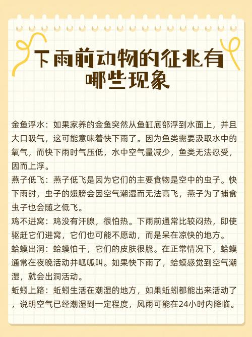 龟背出汗预示要下雨（乌龟出汗代表下雨吗）