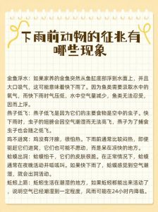龟背出汗预示要下雨（乌龟出汗代表下雨吗）