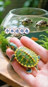 安静宠物乌龟，养龟攻略（国内最好养的宠物龟）