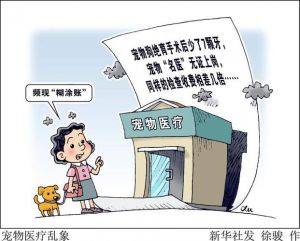 虚假宣传违规操作频发，如何安全托运？（宠物邮寄乱象调查）