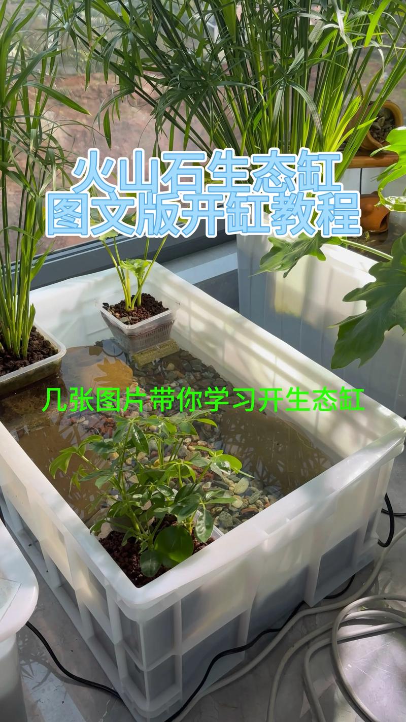 滤盒分层，生态循环，打造健康舒适家（乌龟缸怎么布置图片）