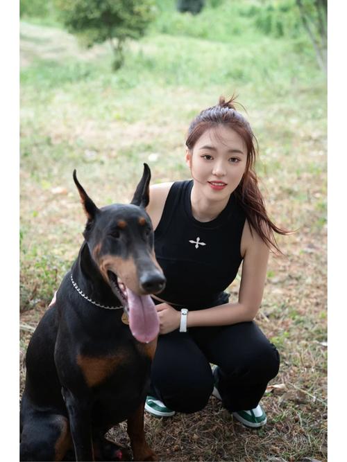 河北女子甘当宠物附庸男子，引人深思（美女自愿争当宠物犬）