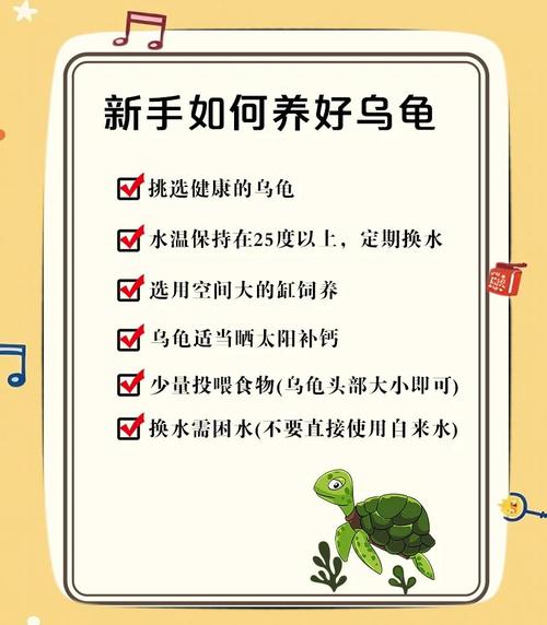控温保湿，安全过冬（小乌龟冬季怎么养）