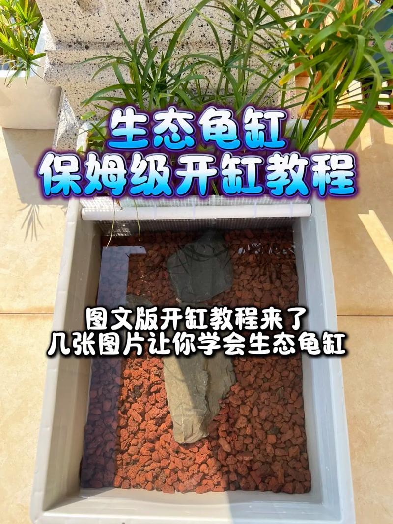 巧用空间，打造理想栖息地（做一张乌龟缸的正确布置图纸）