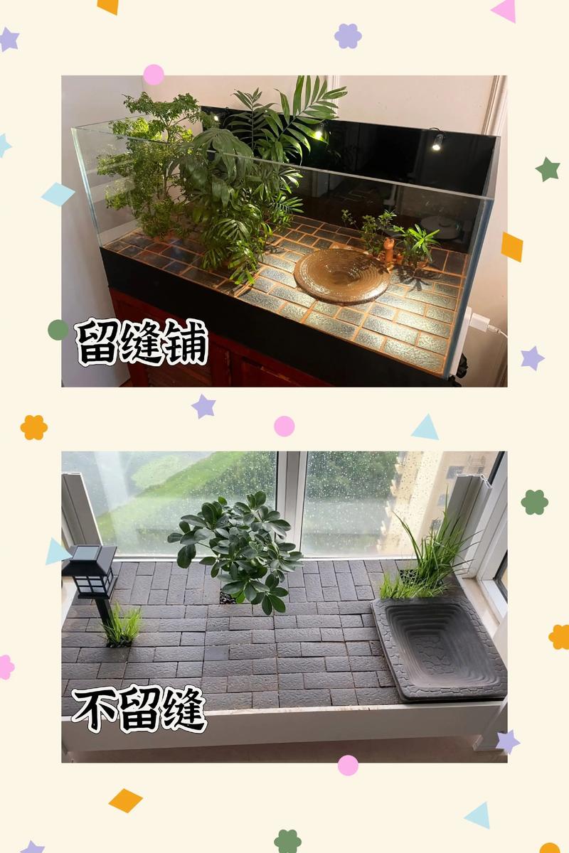 安全舒适的自然家（怎样布置乌龟缸图解）