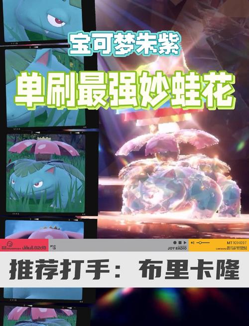 嗅觉强战术多，潜力巨大（妙蛙花推荐特性）