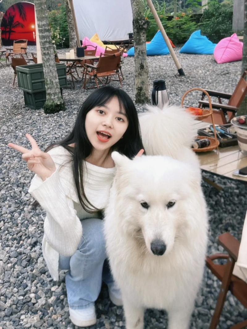 爱与责任守护宠物成长（美女宠物犬训练学校认妈了）