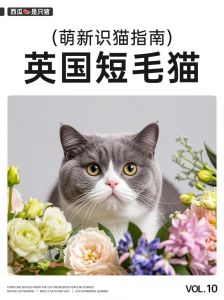 十种超可爱短毛猫，总有一款适合你！（十大短毛猫）