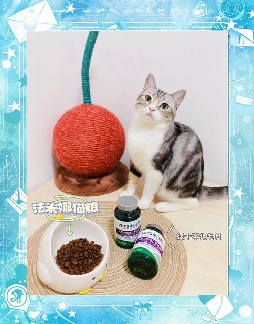 温和化毛，呵护爱猫健康（4个月短毛猫有必要吃化毛片吗）