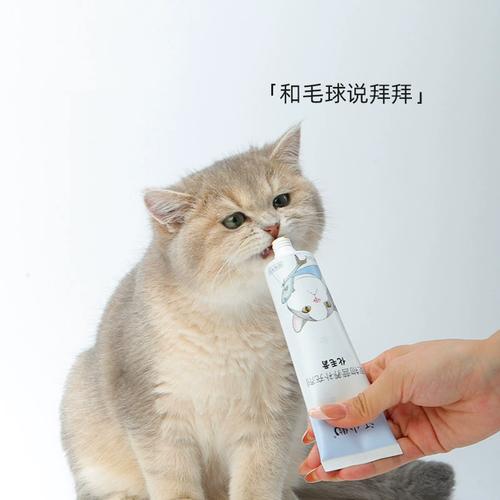短毛猫需化毛膏？梳毛猫草是王道！（短毛猫要吃化毛膏吗）