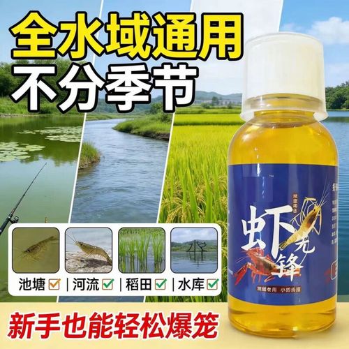 安全诱捕与负责任救助（抓野猫什么诱饵最有效）