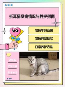 细心照料，健康陪伴（折耳猫怎么养护）