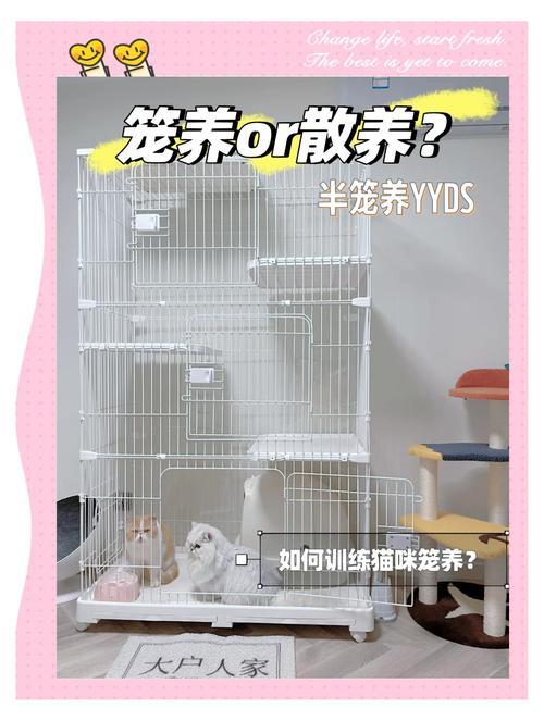 长期笼养伤猫咪身心，别让爱宠失去自由！（笼养猫咪的好处坏处）