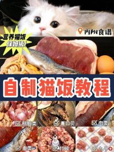 布偶猫成长快，自制猫饭营养好，心脏瘦肉来搭配（三个月布偶猫自制猫饭配方）