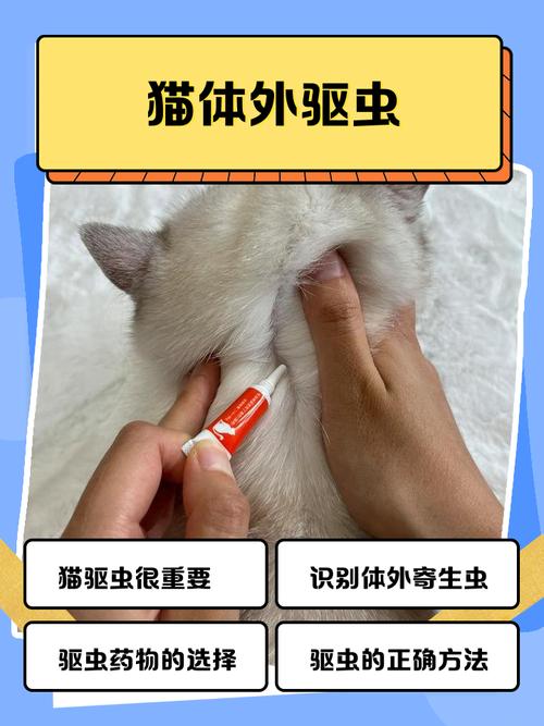 物理+科技，安心赶走猫咪（长期驱猫最有效的方法）